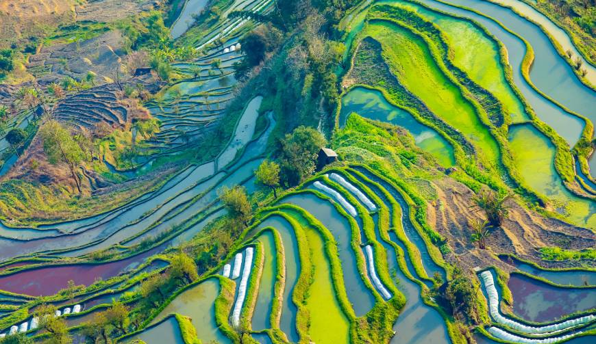 宝妈必备神器：天等县产品视频拍摄轻松育儿好帮手