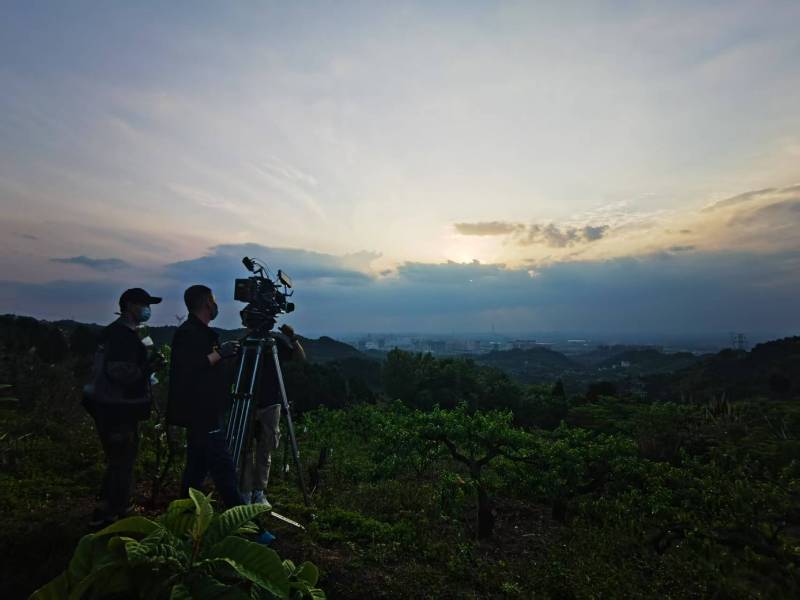 聚焦天等县产品宣传视频拍摄公司，用专业实力铸就品牌传播传奇