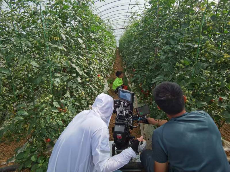 天等县产品宣传视频拍摄公司进阶指南，助力品牌抢占传播高地